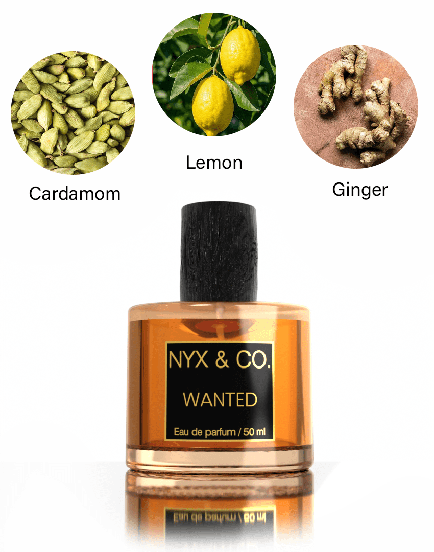 WANTED - Inspired by Azzaro Wanted - Unisex – NYX & CO